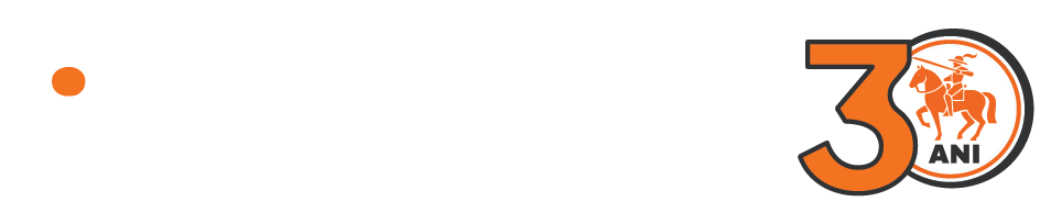 iNES GROUP